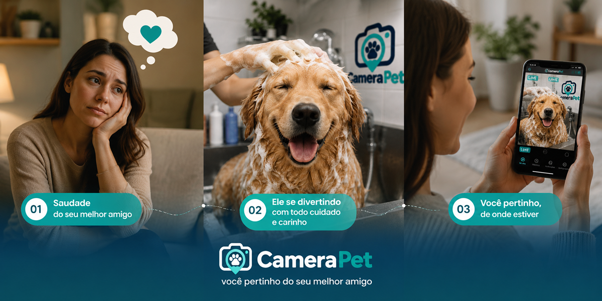 Demonstração da CameraPet em uso durante o banho de um pet